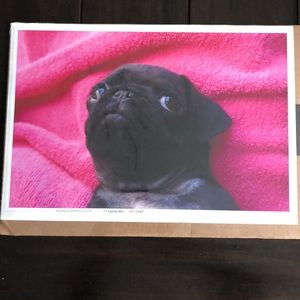 Laptop Skin - Black Pug